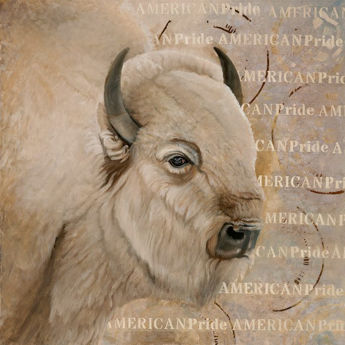 american pride white bison by sharon brening