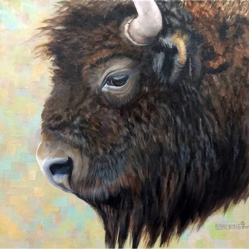 bison by sharon brening