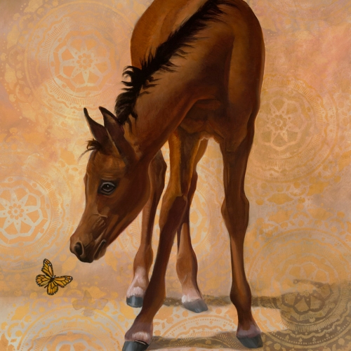 spring fling horse with butterfly