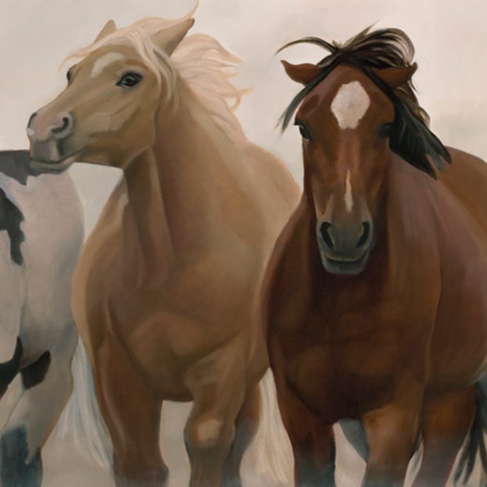 wild and free horses by sharon brening